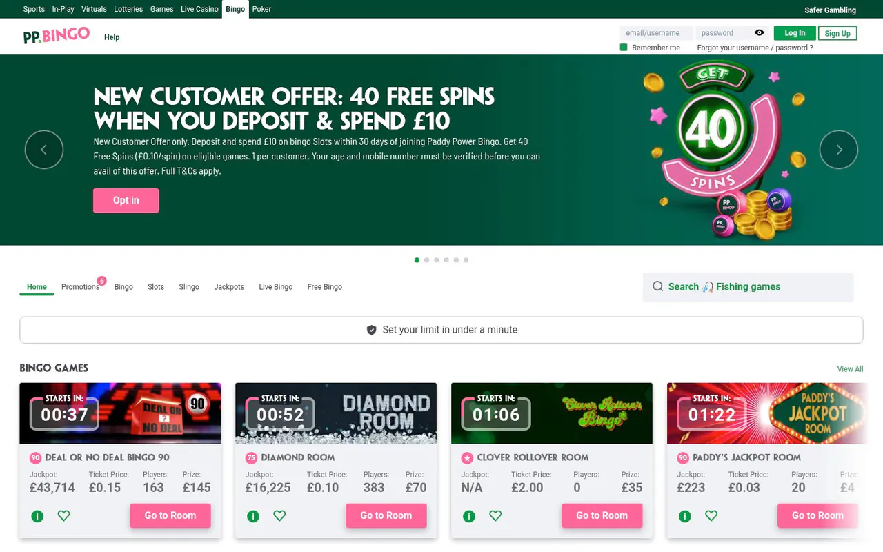 Paddy Power Bingo homepage screenshot