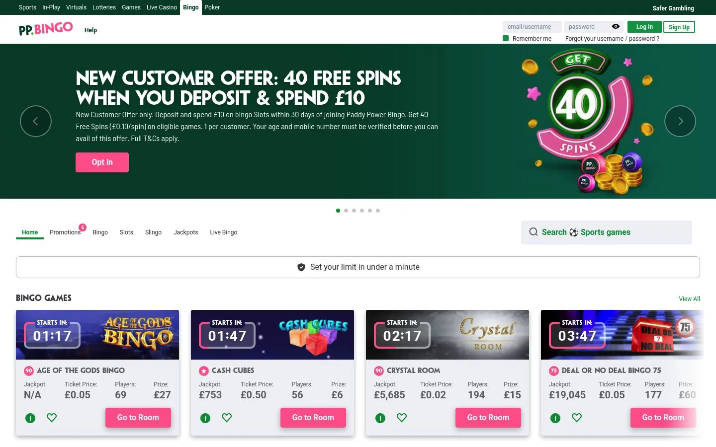Paddy Power Bingo homepage